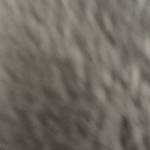 Max60 Profile Picture