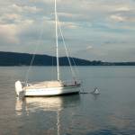 Simpatico malandrino Profile Picture