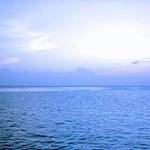 Alex Alex Profile Picture