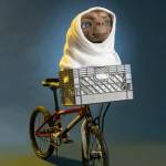 Stefano Profile Picture