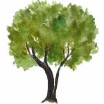 Marco Piras Profile Picture