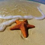 lele nas Profile Picture