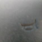 andrea Profile Picture