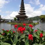 Curioso85 Profile Picture