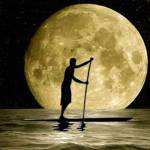 Tony Scott Profile Picture