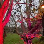 Marco V Profile Picture