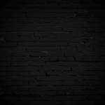 Dania Pino Profile Picture