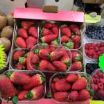 luca luca Profile Picture