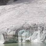 Davide Zago Profile Picture