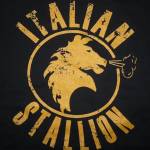 Real Stallone Profile Picture
