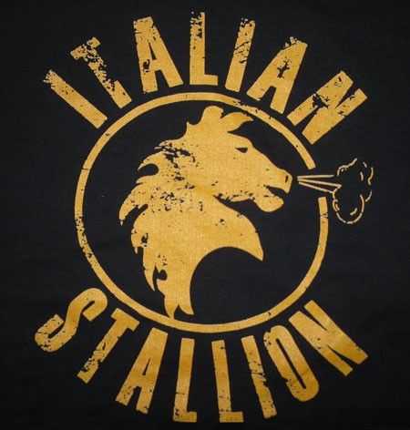 Immagine pubblicata da Real Stallone