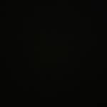 Yasmeen Jardi Profile Picture